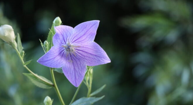 写真２