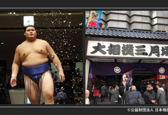 oozumou3tukibasyoのサムネイル